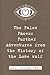 The False Faces: Further Adventures from the History of the Lone Wolf