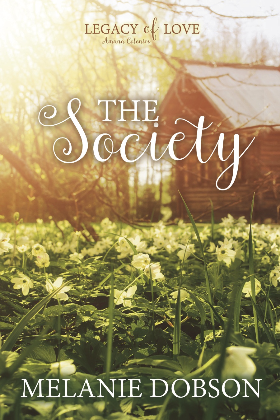 The Society (Legacy of Love #6)