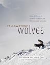 Yellowstone Wolve...