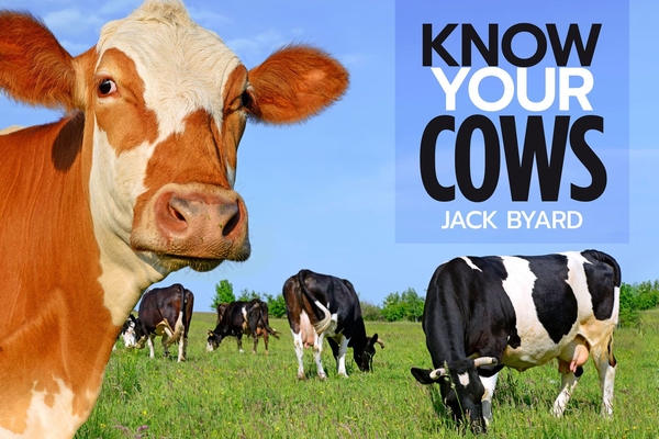 Know Your Cows (Old Pond Books) 44 Breeds from Aberdeen Angus to Wagyu, with Essential Facts on History, Country of Origin, Physical Characteristics, and More, plus Full-Page Photos of Each Breed