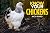 Know Your Chickens (Old Pond Books) 44 Hen Breeds from Ancona to Wyandotte, with Essential Facts on History, Country of Origin, Color, Size, Egg Production, & More, plus Full-Page Photos of Each Breed