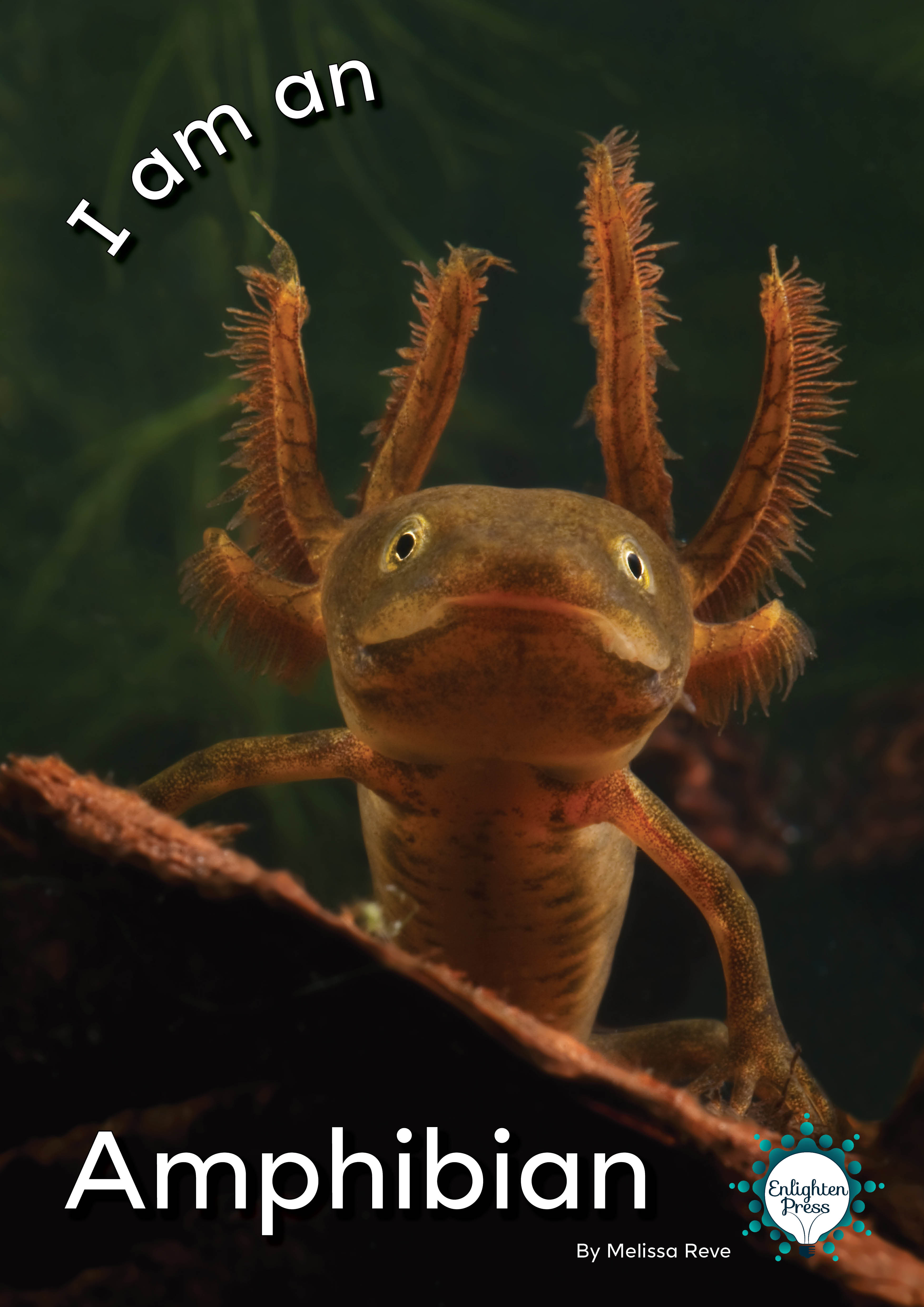 I Am An Amphibian