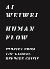 Human Flow: Stori...