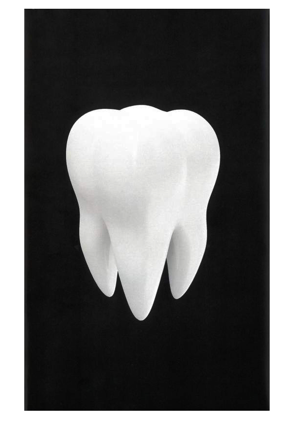 Die Politiker (Paperback)