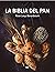 La biblia del pan (PRÁCTICA) (Spanish Edition)