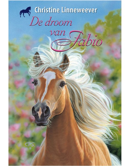 De droom van Fabio (Hardcover)