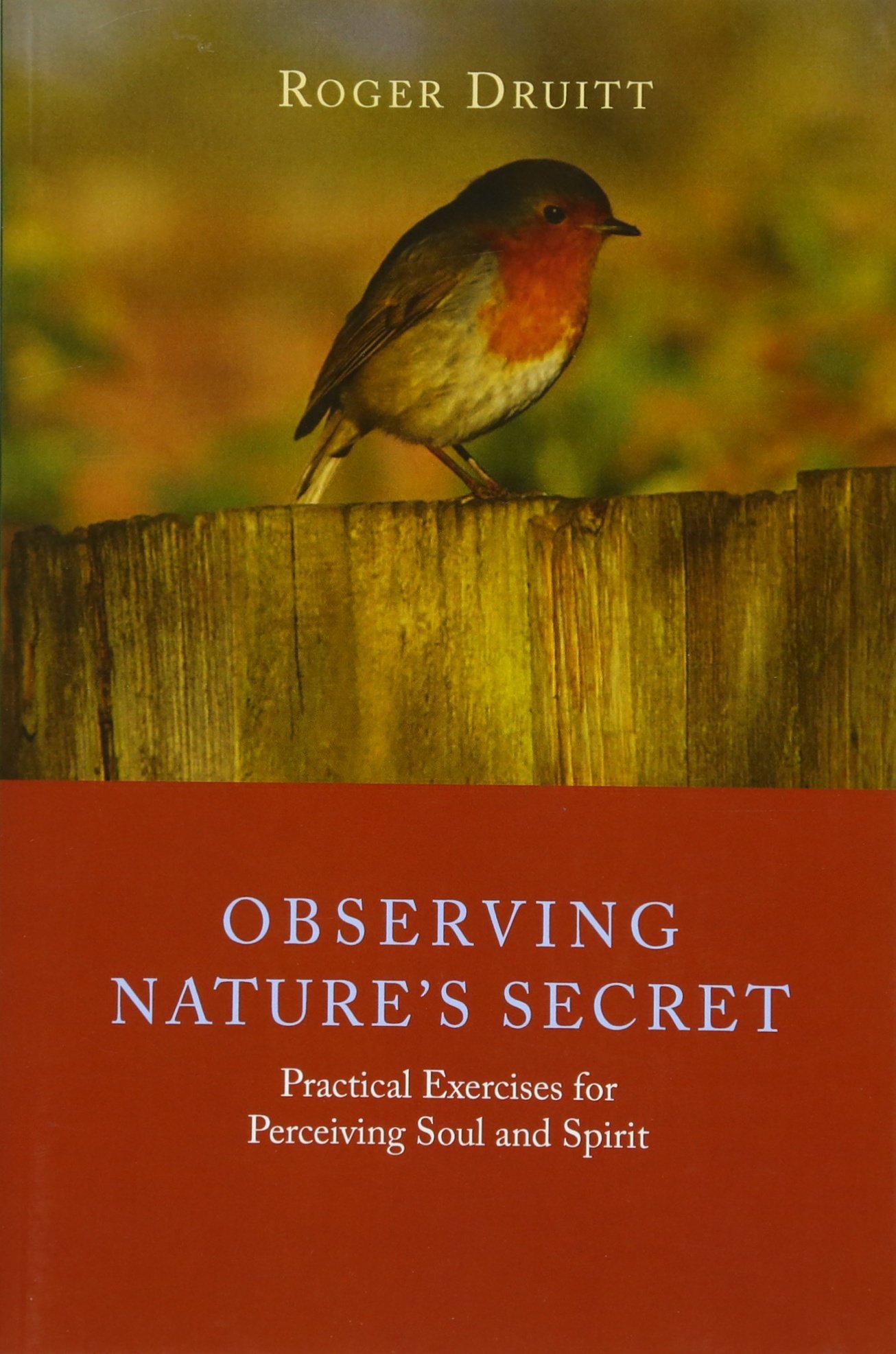 Observing Nature’s Secret: Practical Exercises for Perceiving Soul and Spirit (Paperback)