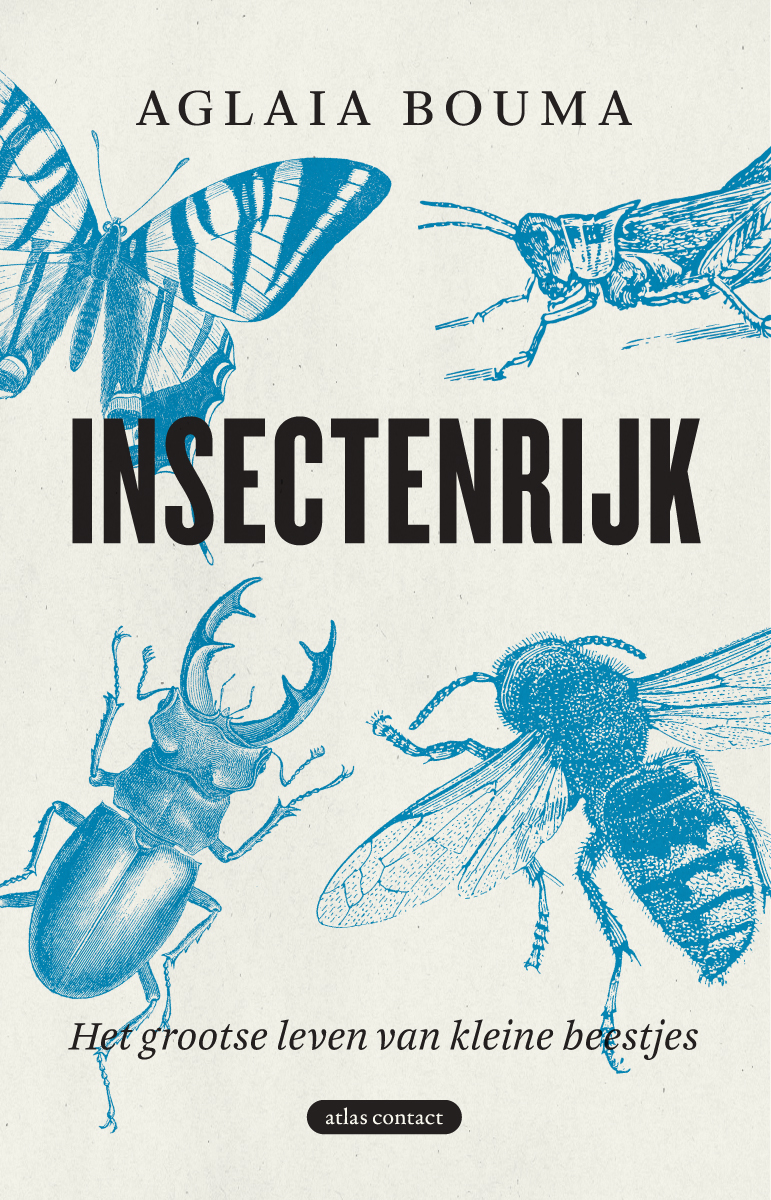 Insectenrijk: het grootse leven van kleine beestjes (Paperback)