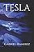 Tesla (The Gabriel Ramirez ...