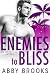 Enemies-to-Bliss (The Moore...