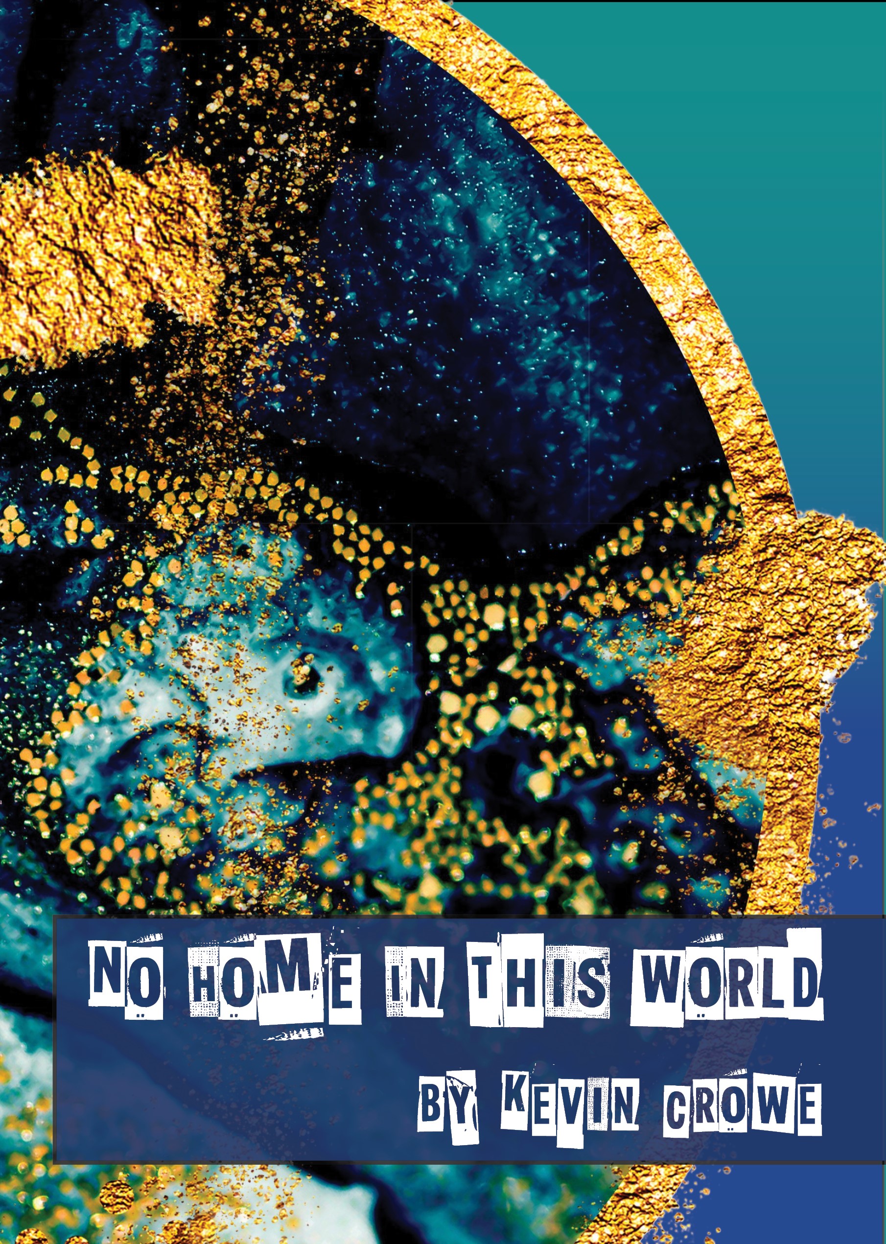 No Home In This World (Paperback)