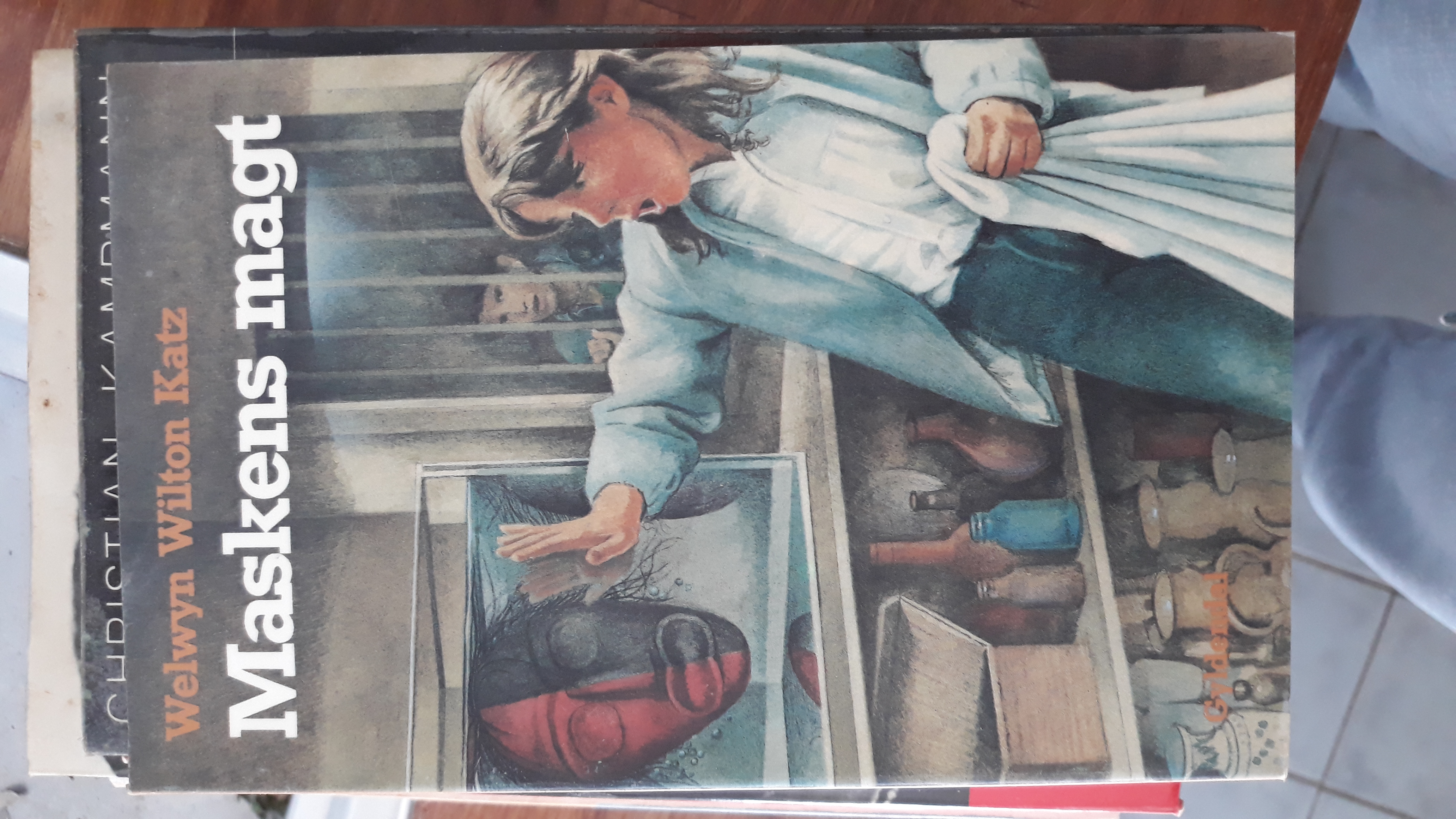 Maskens magt (Paperback)
