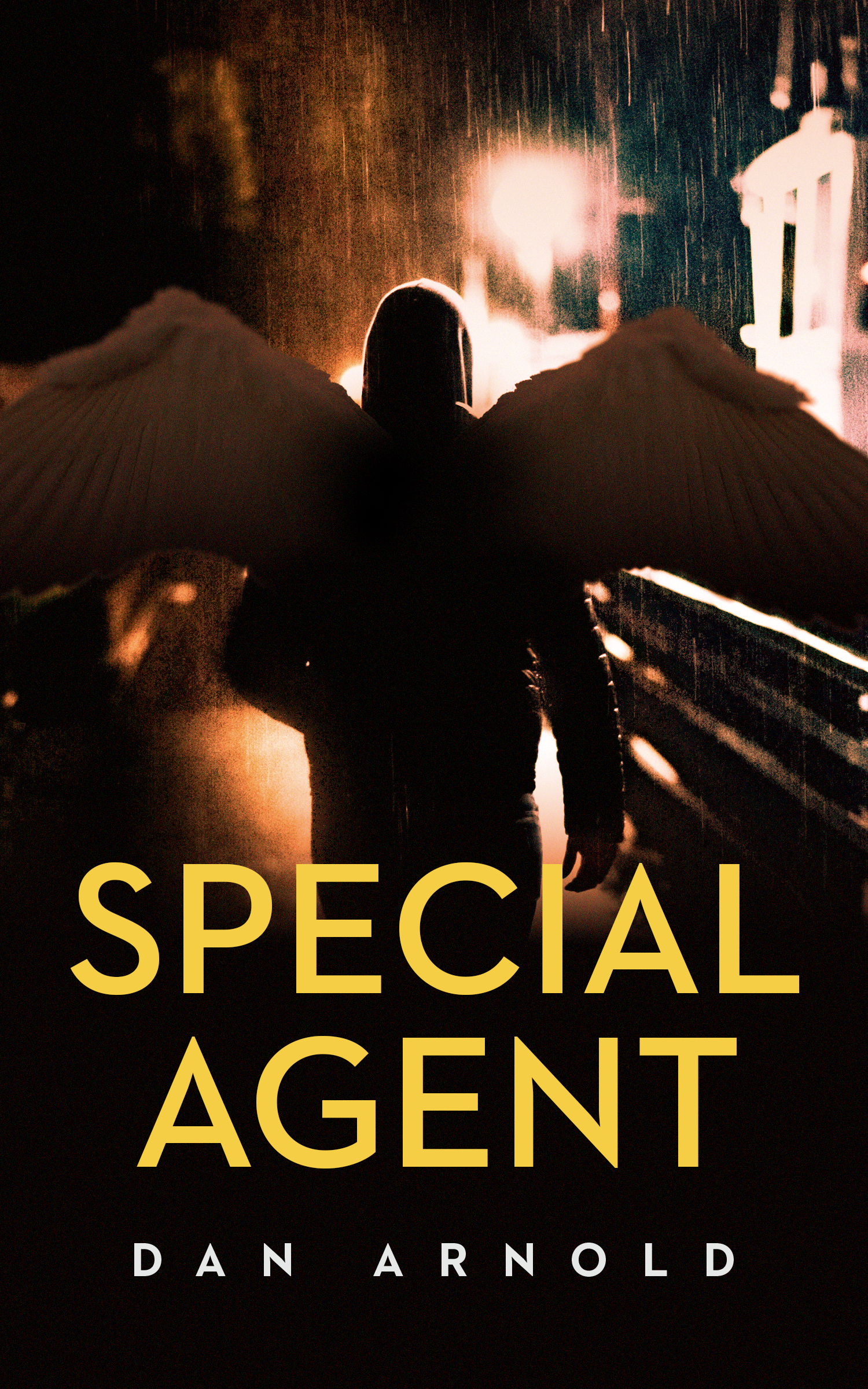 Special Agent (Angels and Imperfections Book 2)