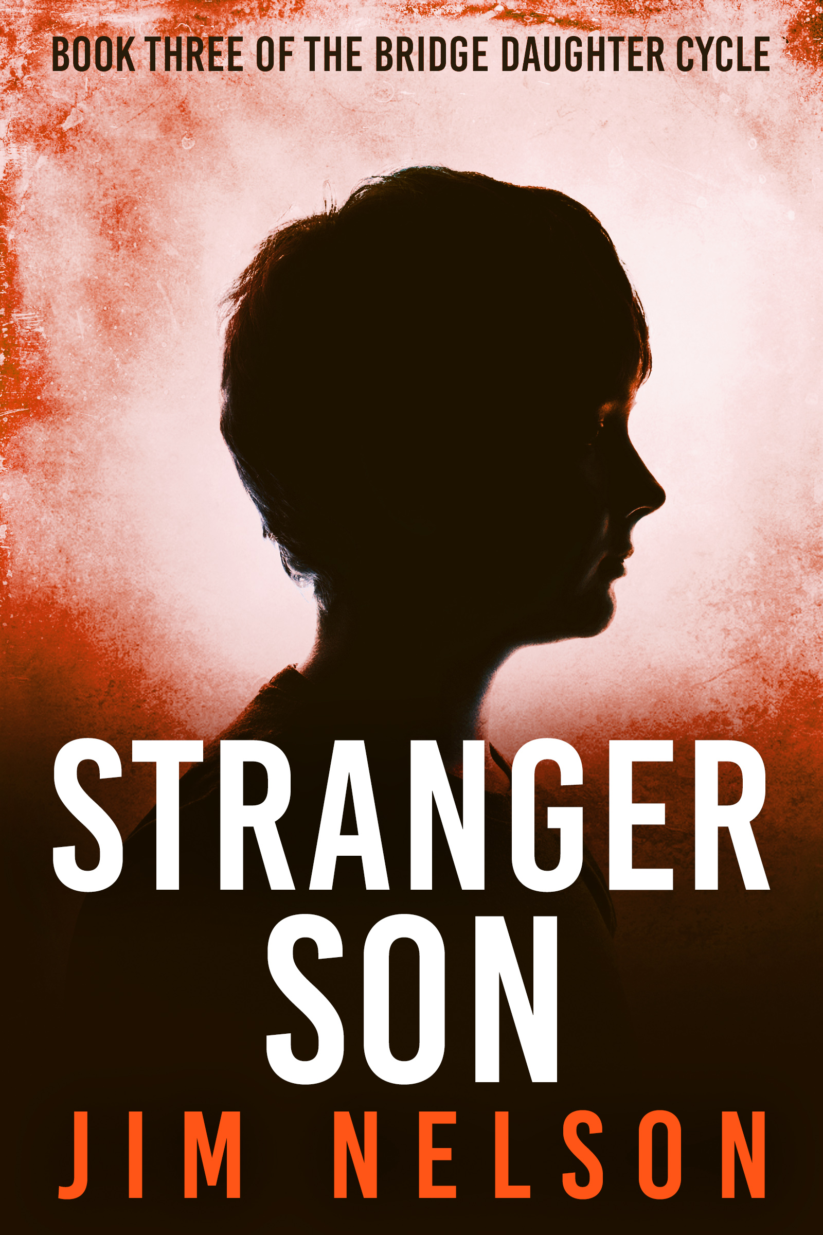 Stranger Son (Bridge Daughter #3)