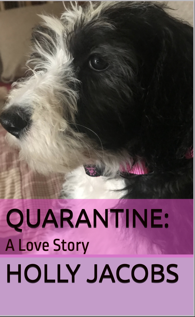 Quarantine: A Love Story (Kindle Edition)
