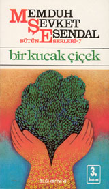 Bir Kucak Çiçek