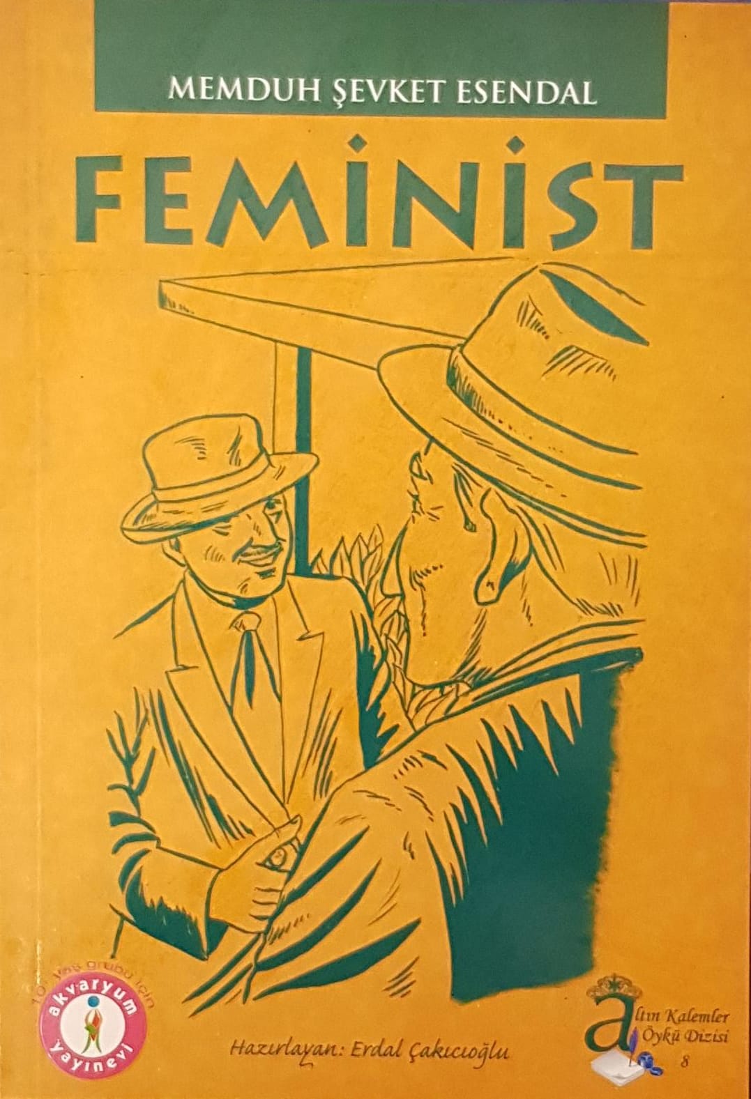 Feminist (Paperback)