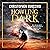 Howling Dark by Christopher Ruocchio