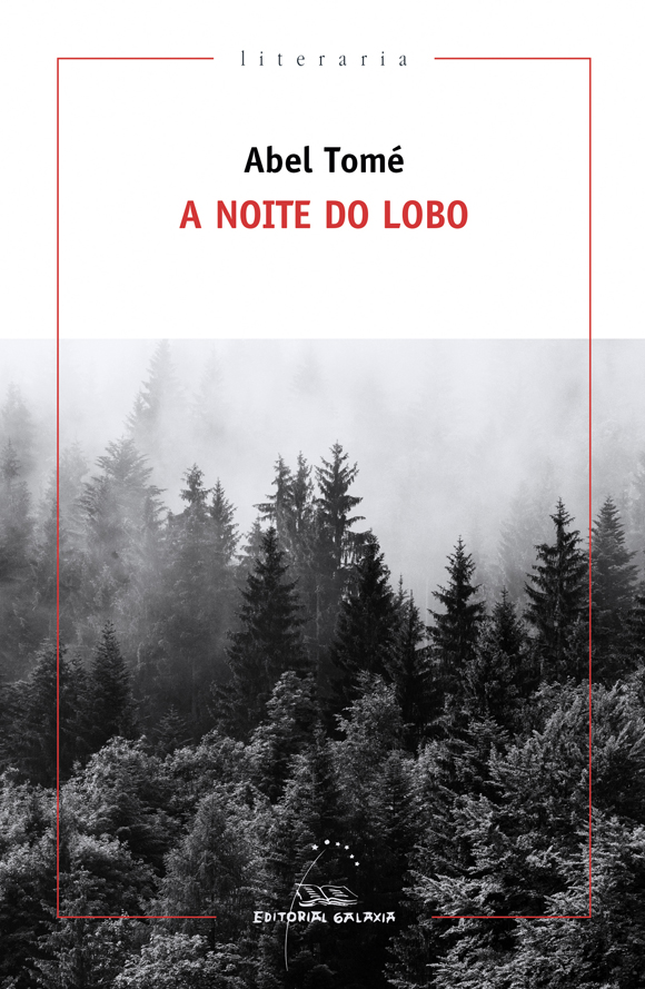 A noite do lobo (Paperback)