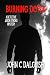 Burning Down (Detective Jason Strong #20)