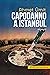 Capodanno a Istanbul (Başkomiser Nevzat #5)
