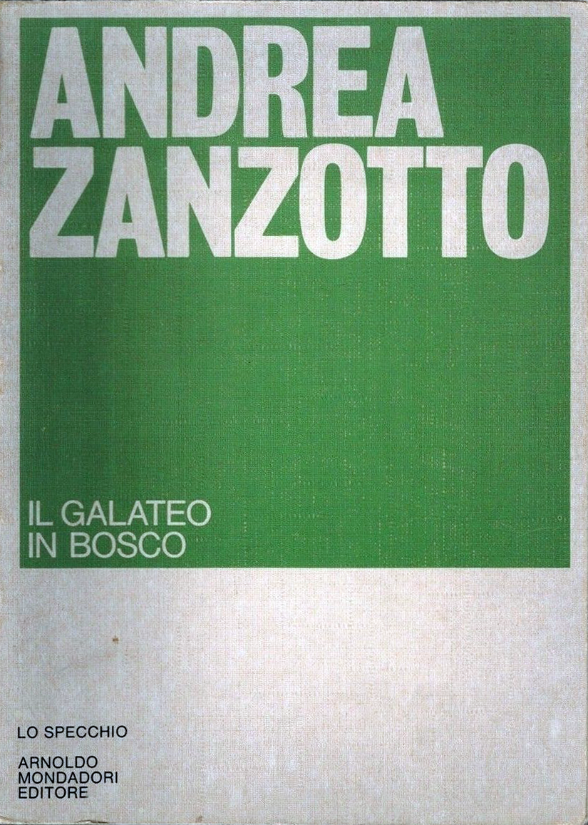 Il galateo in bosco (Paperback)