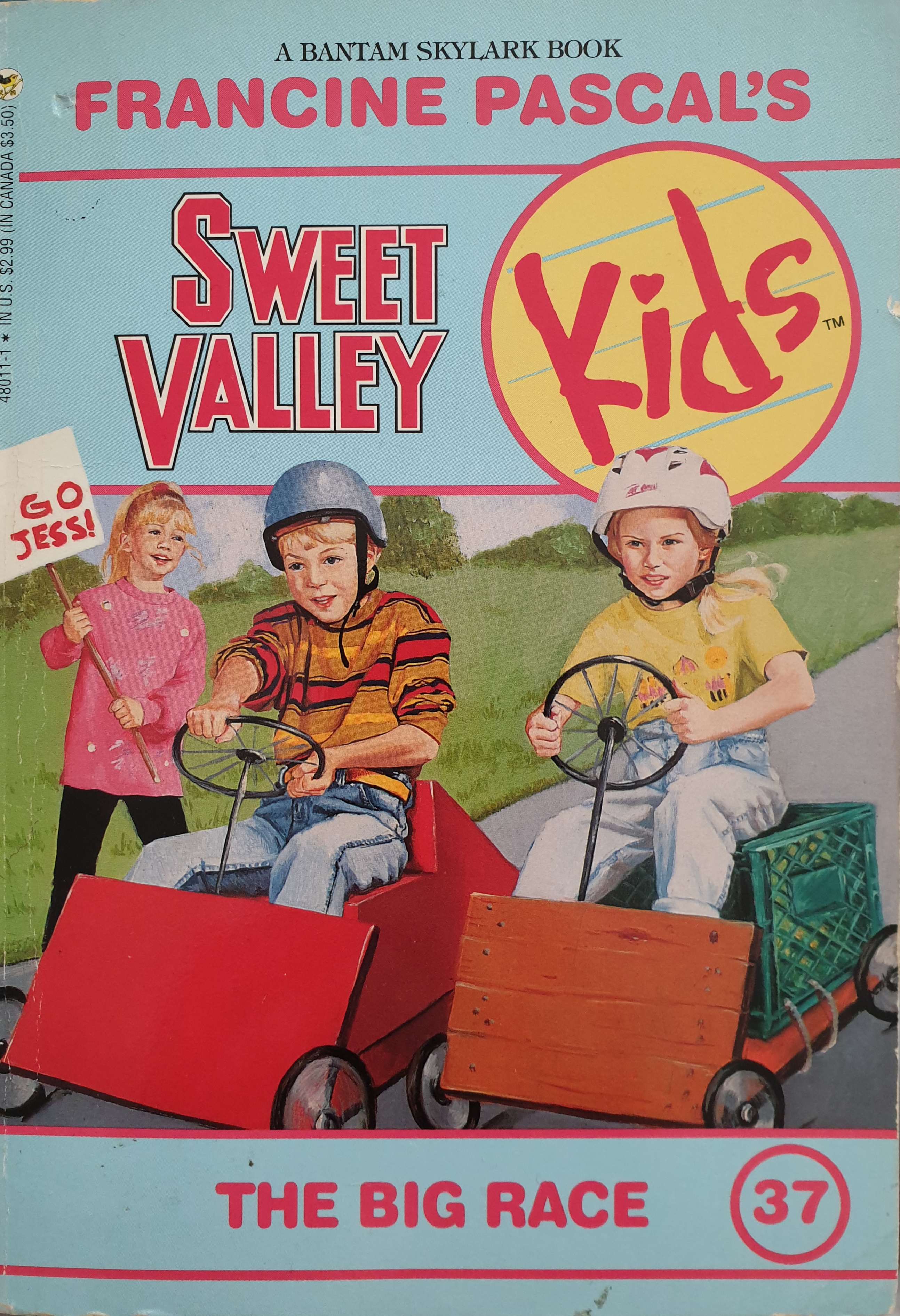 The Big Race (Sweet Valley Kids, #37)