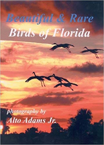 Beautiful & Rare Birds of Florida