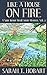 Like a House on Fire: A Sam Turner Real Estate Mystery