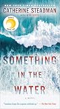Something in the ...