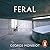 Feral: Rewilding the Land, the Sea and Human Life