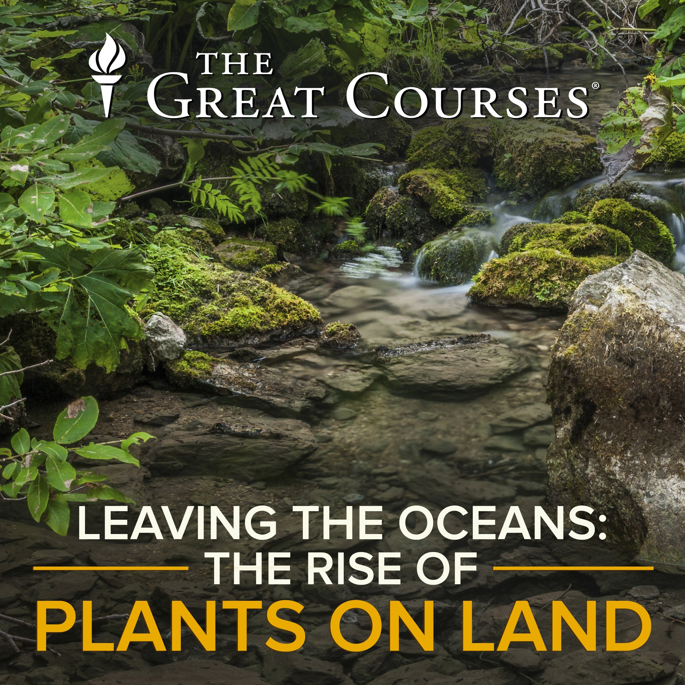 Leaving the Oceans: The Rise of Plants on Land (Audible Audio)