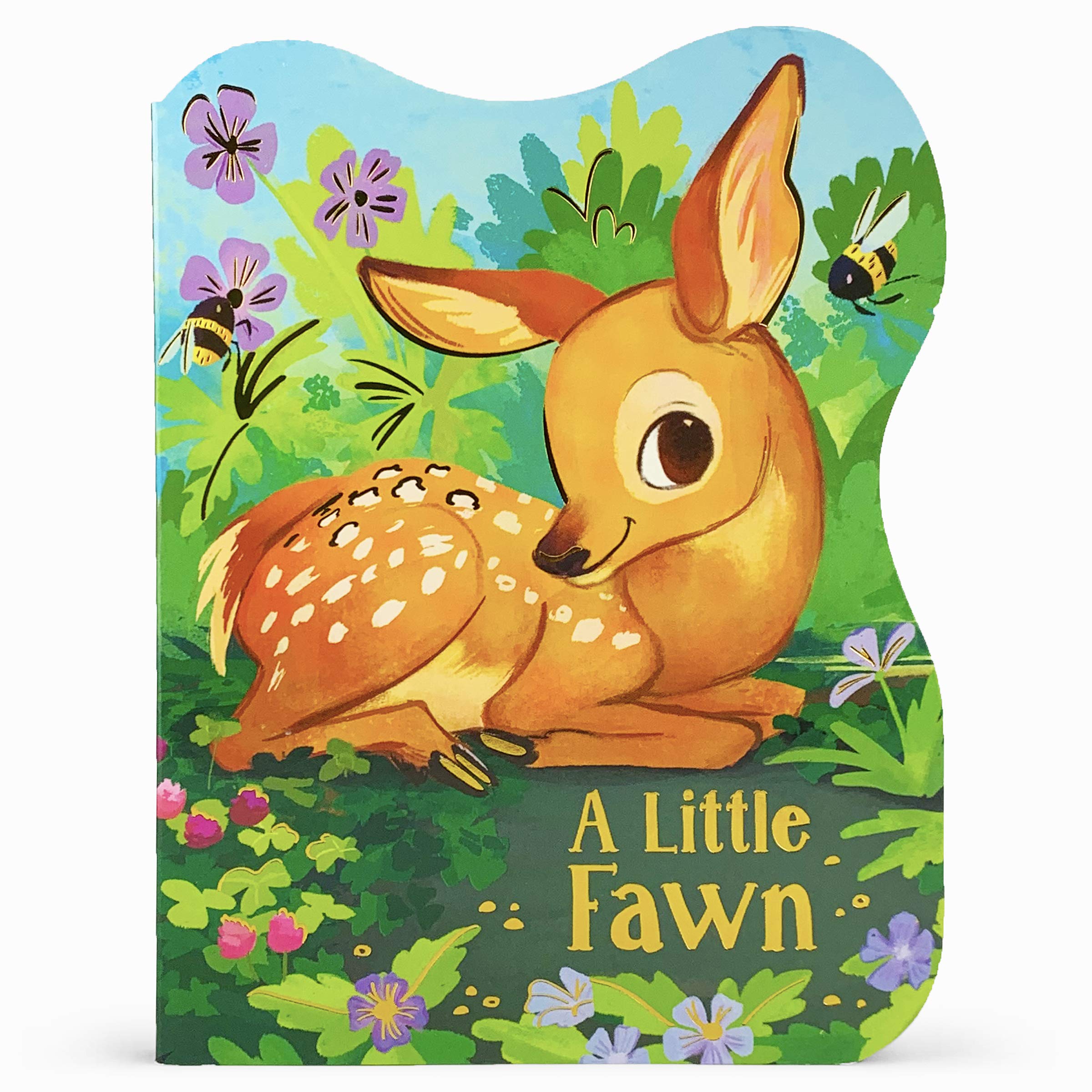 A Little Fawn: A Baby Deer Board Book (Board Book)