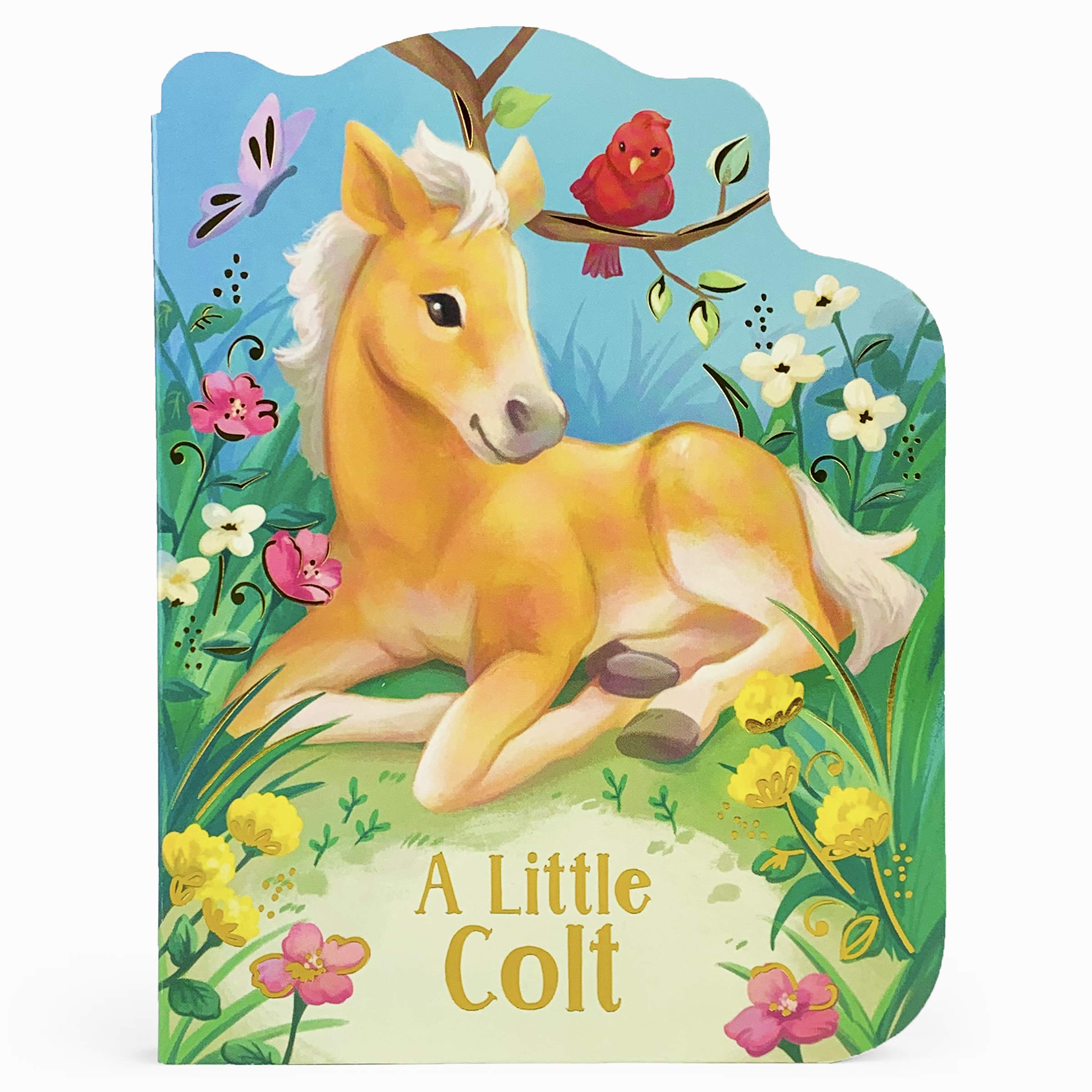 A Little Colt: A Baby Horse Board Book Story (Board Book)