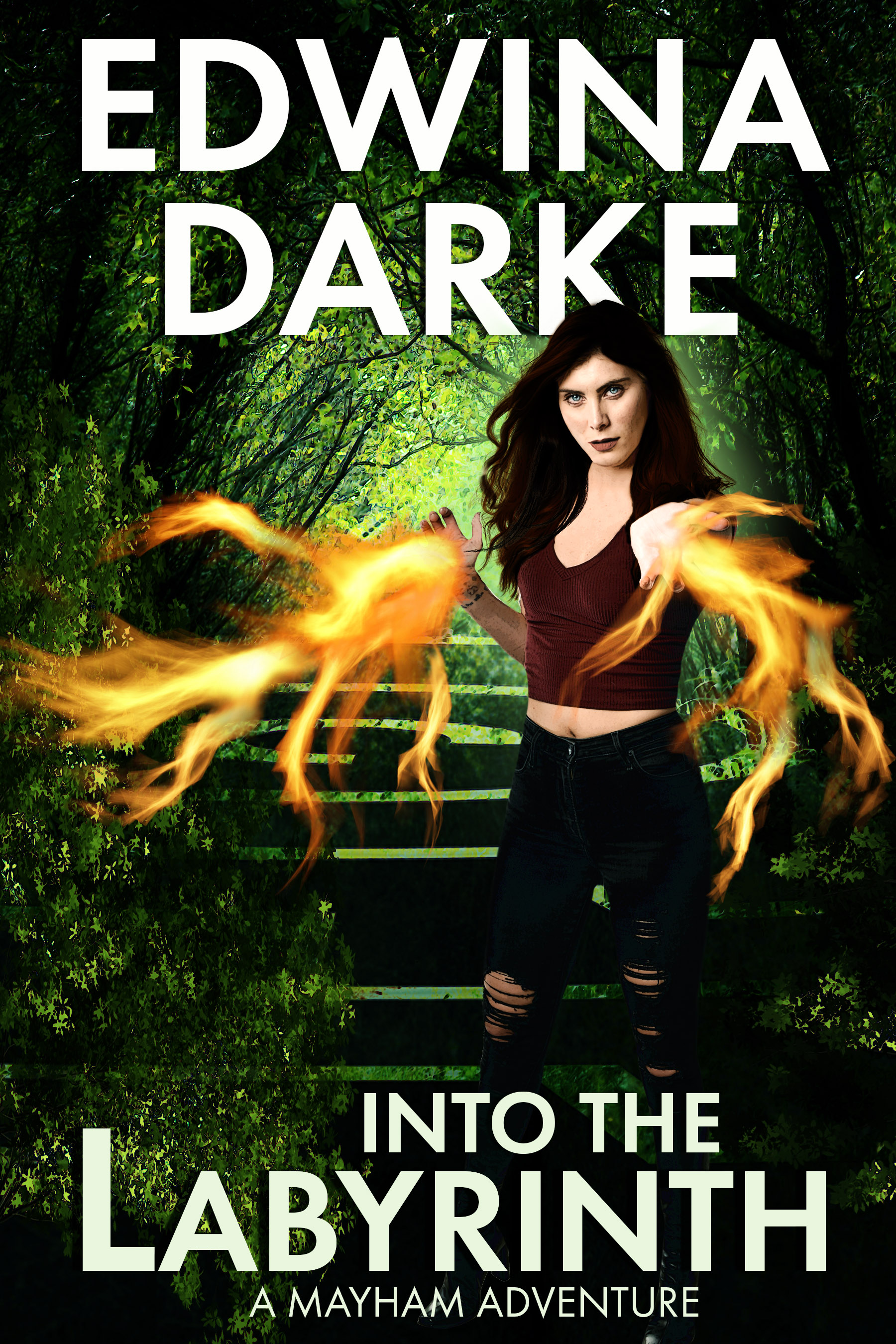 Into The Labyrinth (An Isandra Mayham Adventure, #1)