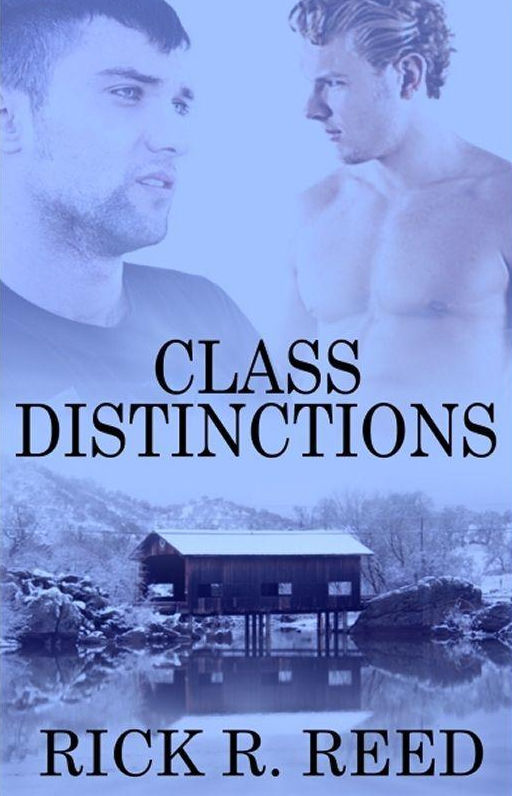 Class Distinctions (Kindle Edition)