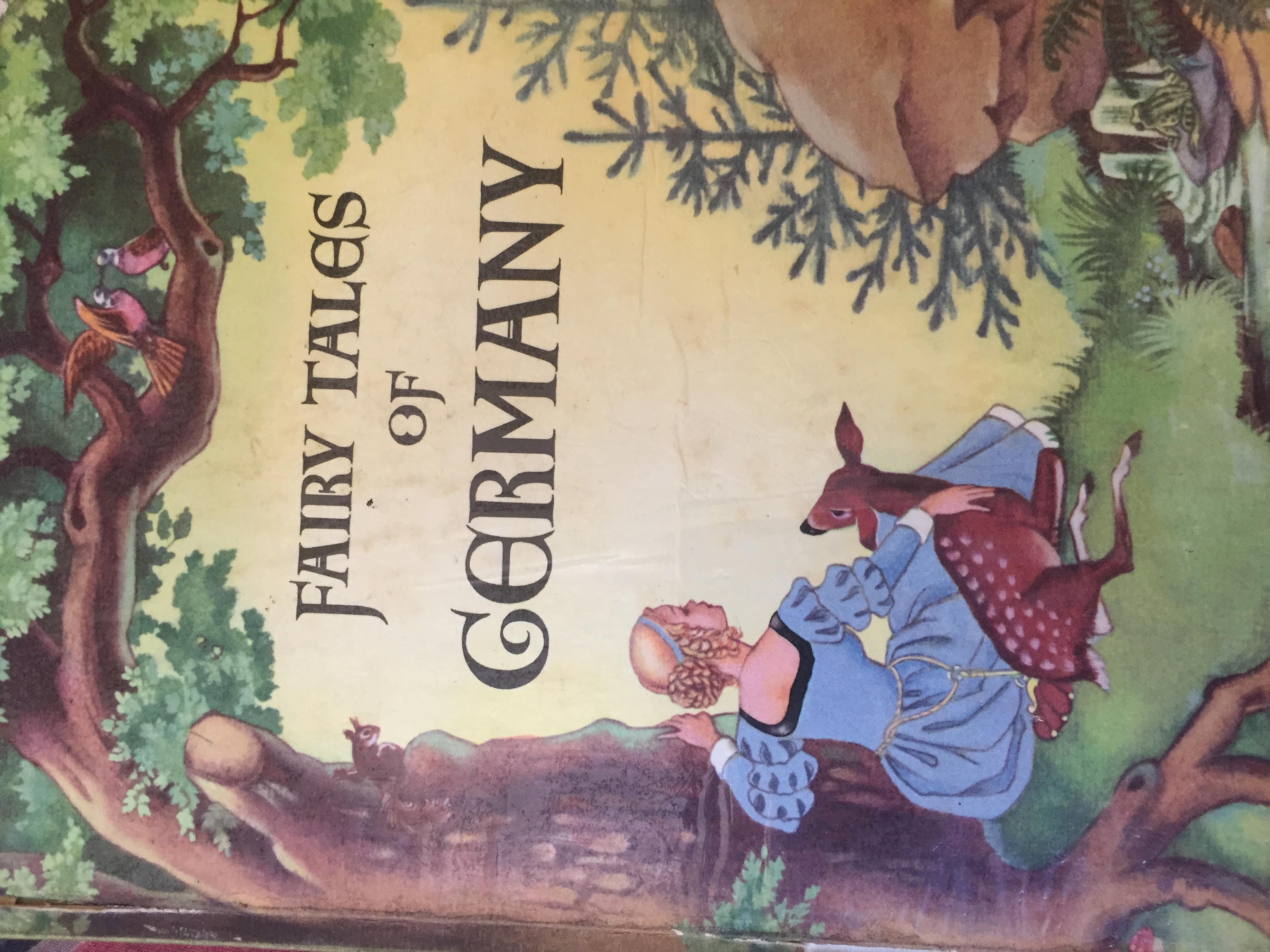 Fairy Tales of Germany (Hardcover)