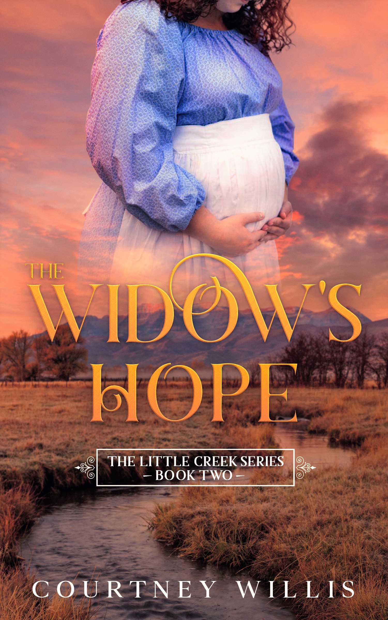 The Widow's Hope (Little Creek, #2)