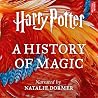 Harry Potter: A H...