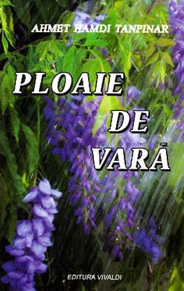 Ploaie de vară