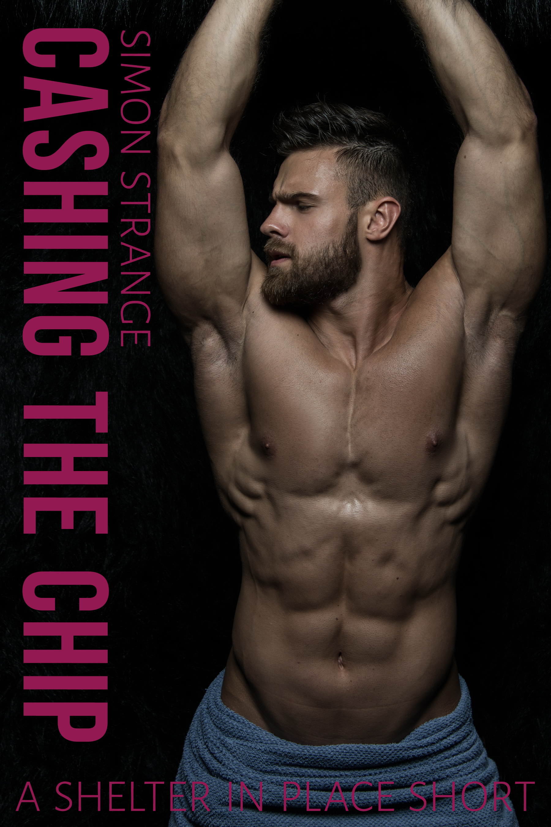 Cashing the Chip (Shelter, #1.5)