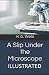A Slip Under the Microscope Illustrated
