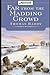 Far from the Madding Crowd By Thomas Hardy The New Illustrated Illustrated Illustrated Version