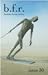 Berkeley Fiction Review, Vo...