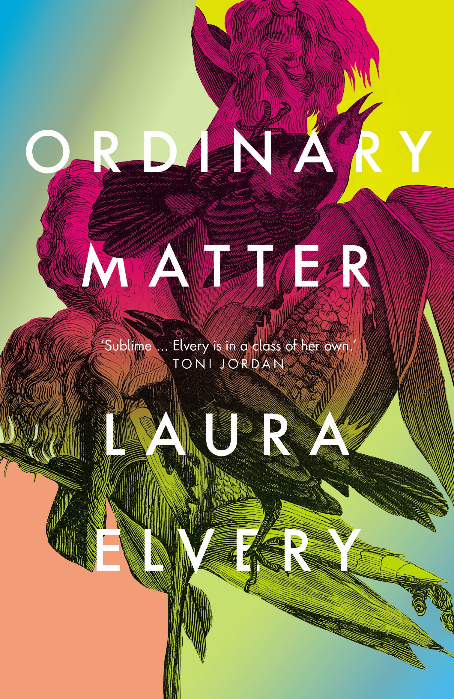Ordinary Matter (Paperback)