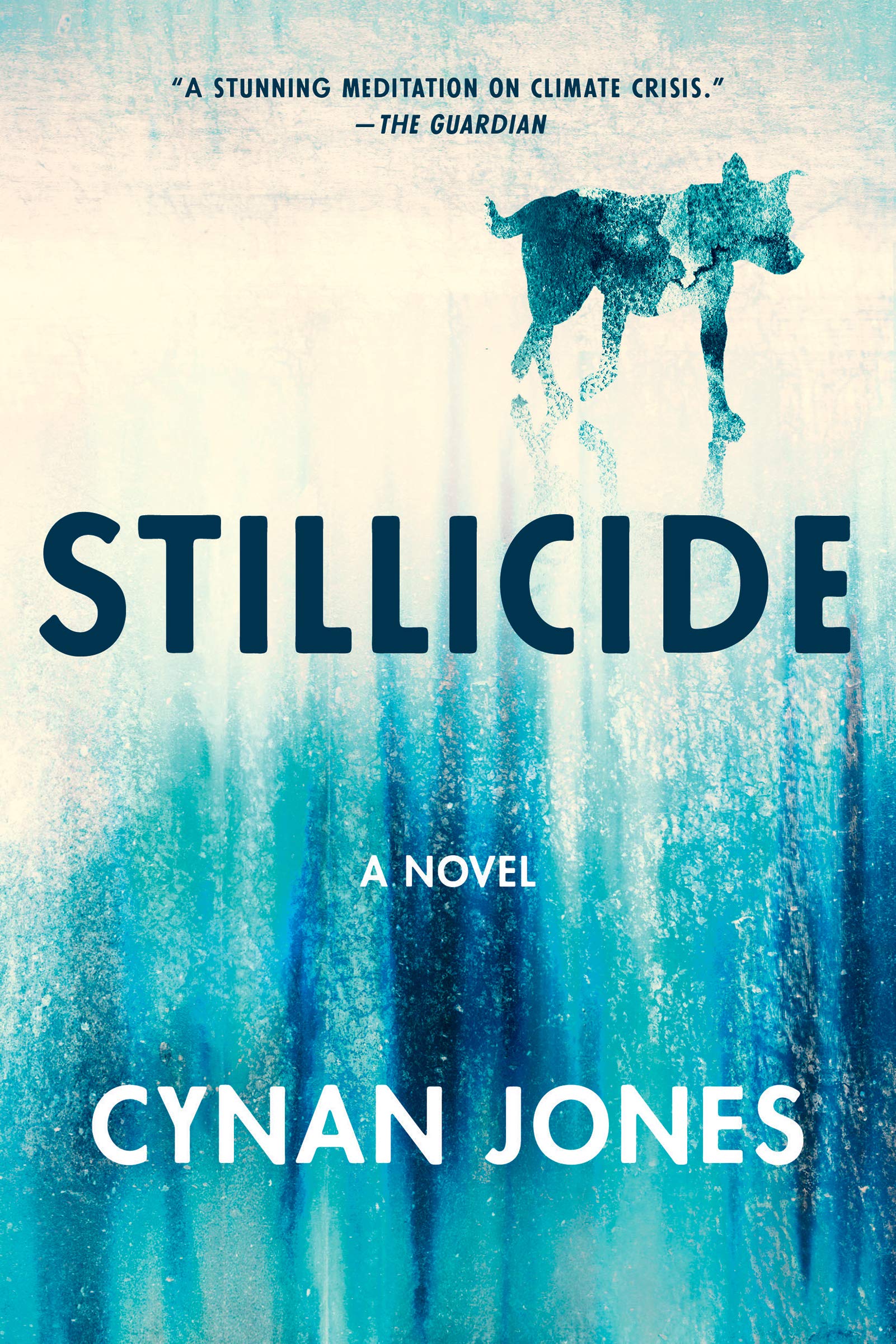 Stillicide (Paperback)