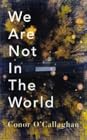 We Are Not in the World by Conor O'Callaghan
