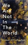 We Are Not in the...