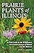 Prairie Plants of Illinois by Steve W Chadde