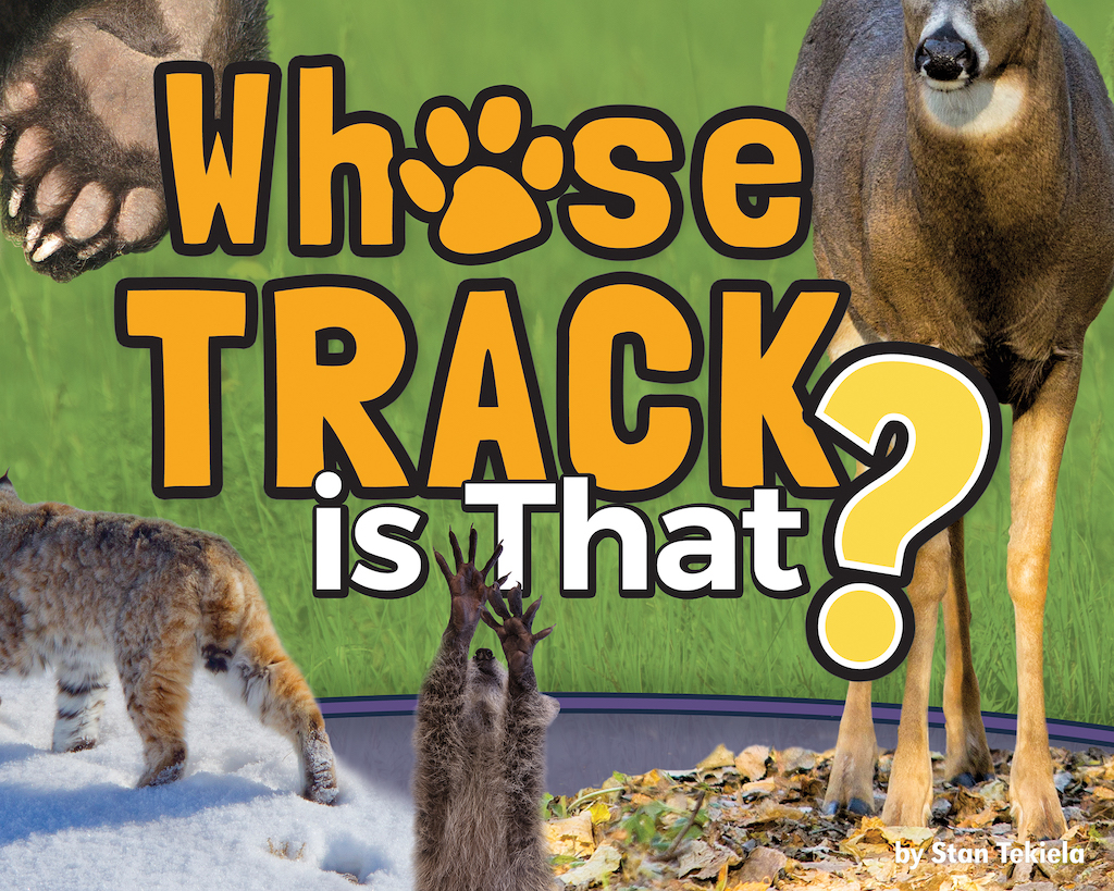 Whose Track Is That?